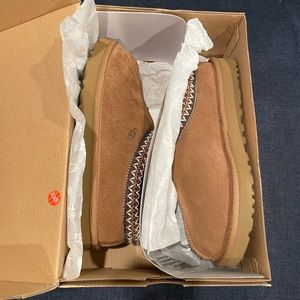 UGG Tasman Chestnut Slipper with Box